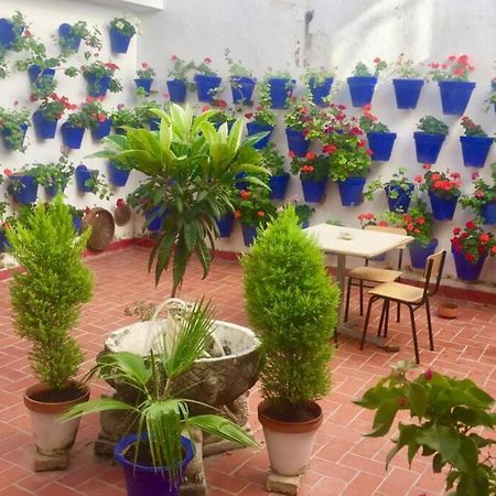 Apartamento Toril-Casco Historico 科爾多瓦 外观 照片